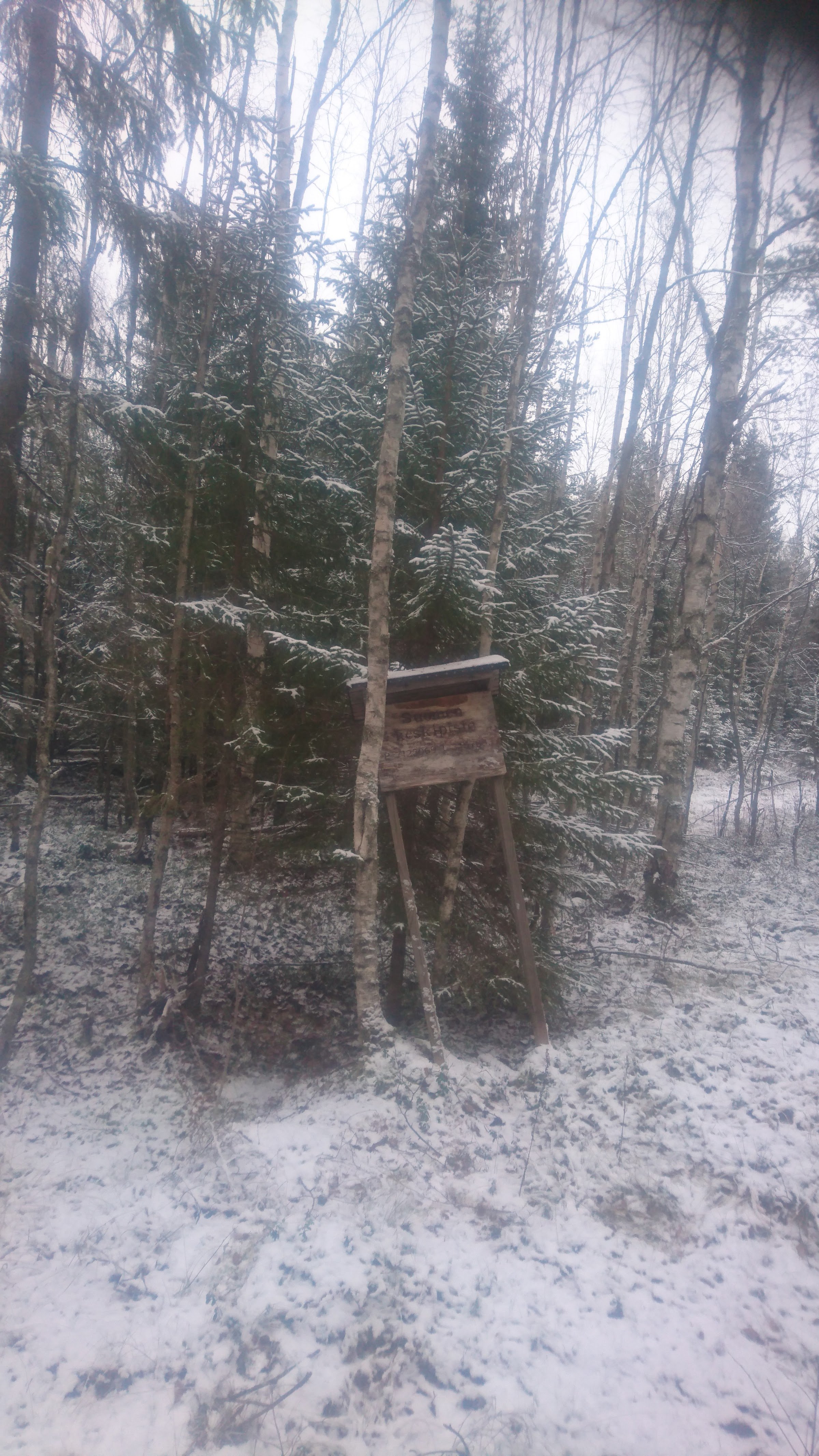 The focal point of Finland